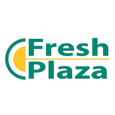 Sustainable Food Packaging