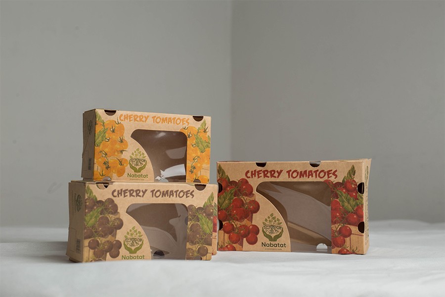 Fresh Deal Blog Post 1